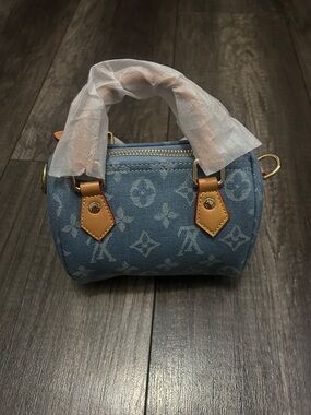 lv mini bag
